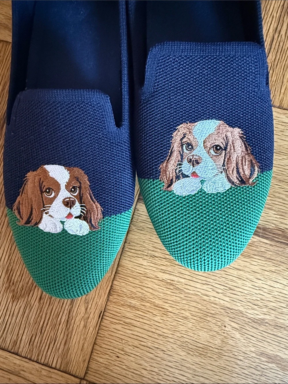 VIVAYA Navy & Green Embroidered Dog Loafers